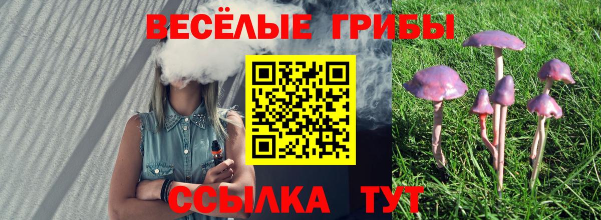 Псилоцибиновые грибы MAGIC MUSHROOMS Орёл