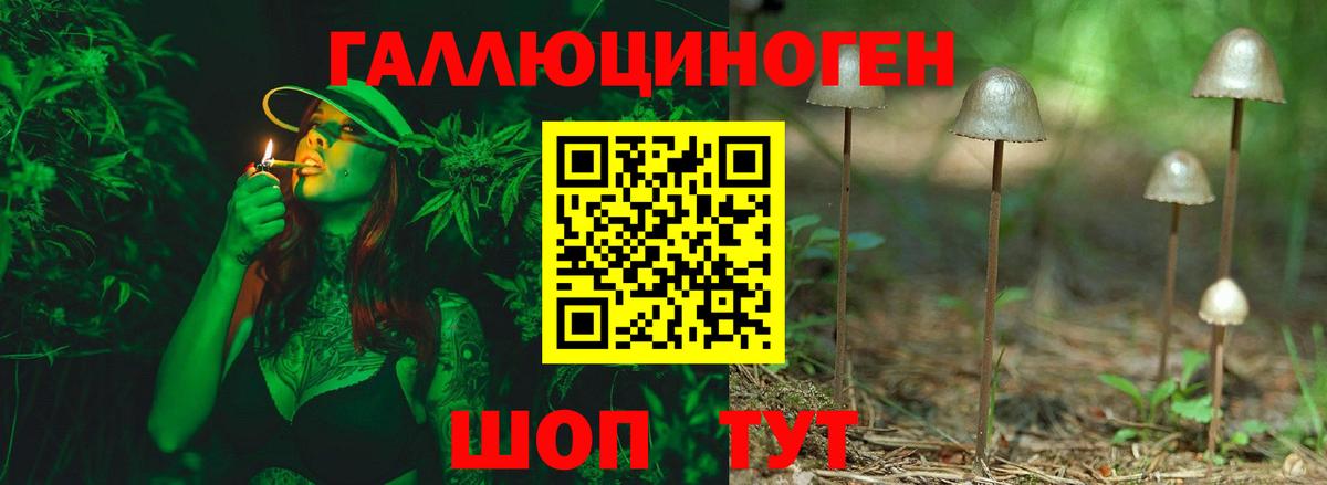 Галлюциногенные грибы Psilocybe  Псилоцибиновые грибы Magic Shrooms  Орёл  Вход с VPN 